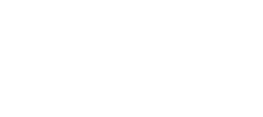 Robyn Lee
